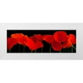 thumbnail image 1 of Crum, R. 18x9 White Modern Wood Framed Museum Art Print Titled - Vermilion Poppies, 1 of 4