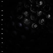 Crumb - Ice Melt - Music & Performance - CD