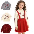 thumbnail image 1 of Crunowin Girls Crew Neck Sweater Long Sleeve Sparkle Detail Kids Everyday Tops Gray Size 3T, 1 of 7