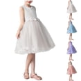 thumbnail image 1 of Crunowin Girls Summer Dress Sleeveless Round Neck Tulle Fabric Luxury Party Gown Stage Host Formal Dress Pink Size 4T, 1 of 6