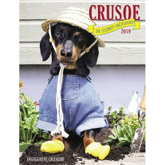 Crusoe the Celebrity Dachshund 2019 Calendar