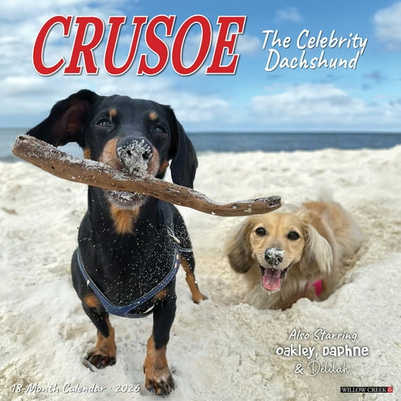 Crusoe the Celebrity Dachshund 2026 Wall Calendar, (Paperback)