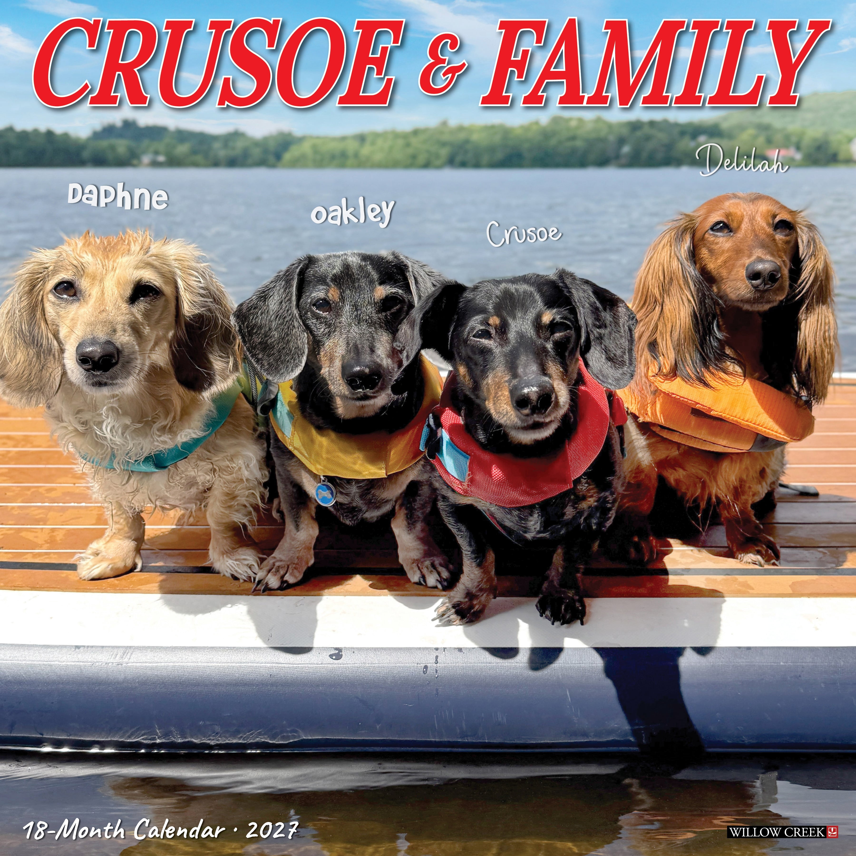 Willow Creek Press, Crusoe the Celebrity Dachshund 2027 Wall Calendar