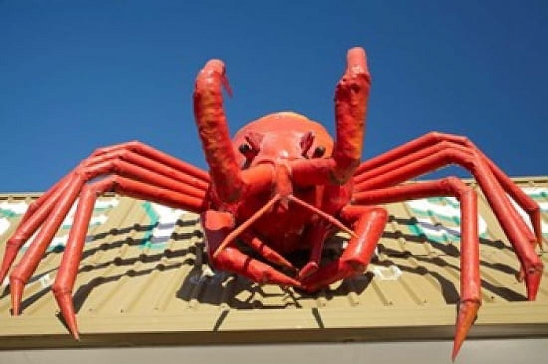 Crustacean Giant Lobster Stanley Tasmania Australia Canvas Art - David Wall DanitaDelimont (29 x 19)
