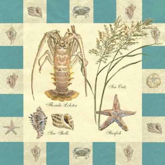 Crustacean I Canvas Art - Steve Butler (24 x 24)