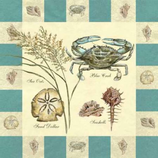 Crustacean I Canvas Art - Steve Butler (24 x 24)