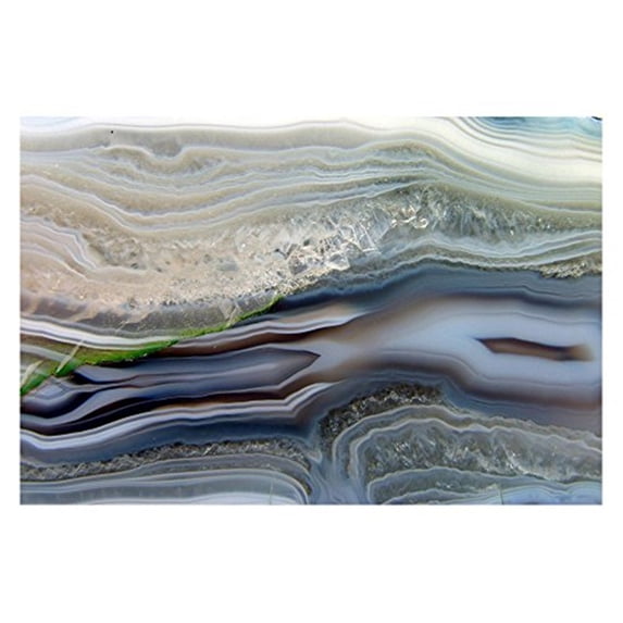 Crustations Painting Print on Wrapped Canvas