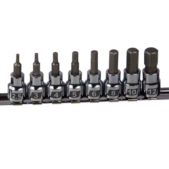 Cruz 10-Piece 3/8" Drive Standard Allen Socket Set (IN38HBS)