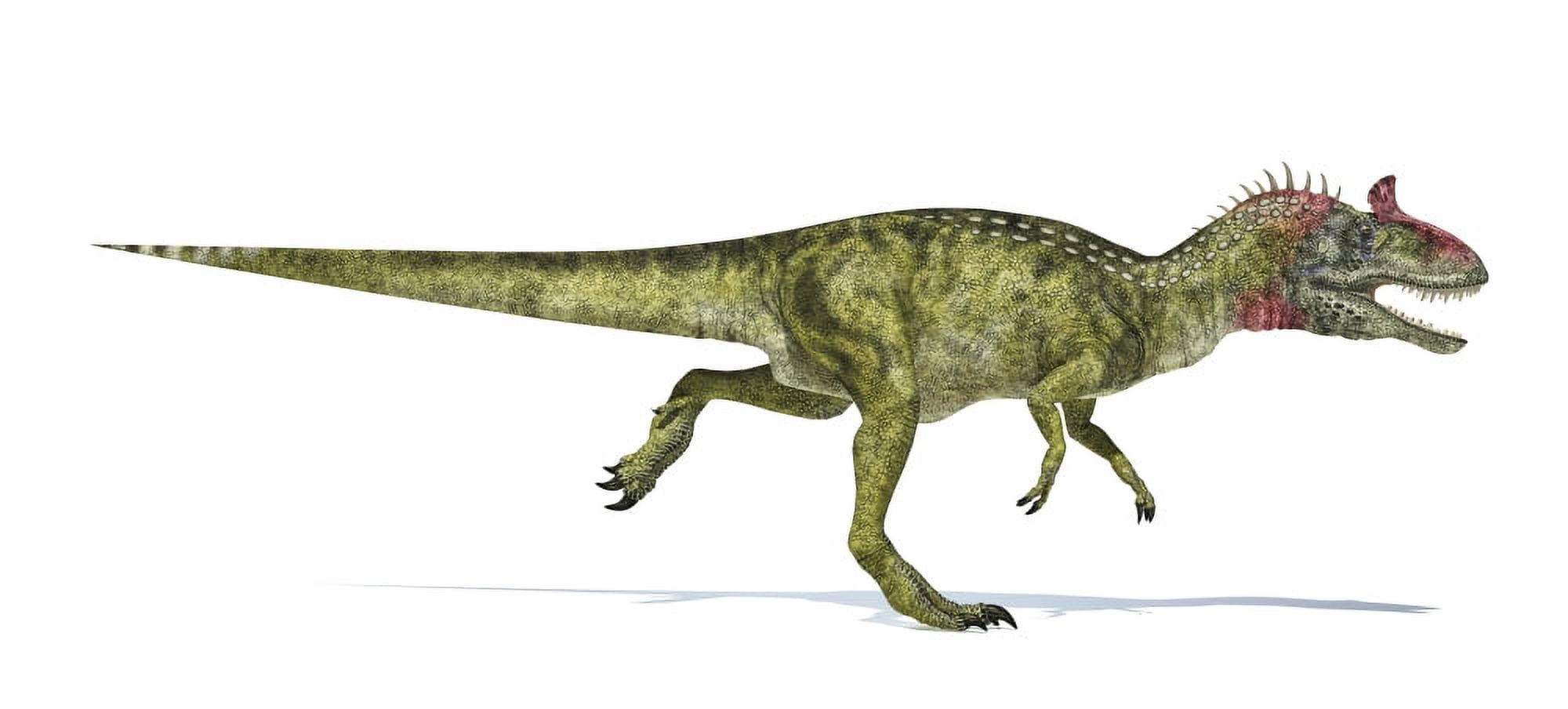 Cryolophosaurus dinosaur on white background Canvas Art - Leonello CalvettiStocktrek Images (42 x 19)