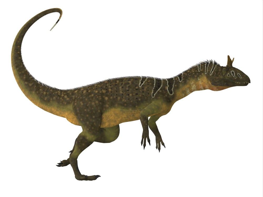 Cryolophosaurus dinosaur side view Canvas Art - Corey FordStocktrek Images (32 x 24)