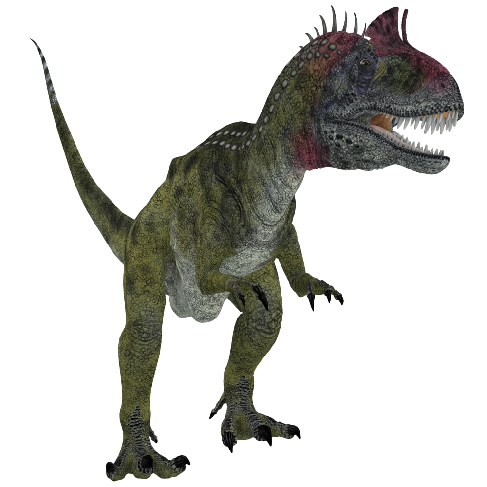 Cryolophosaurus dinosaur white background Canvas Art - Corey FordStocktrek Images (28 x 28)