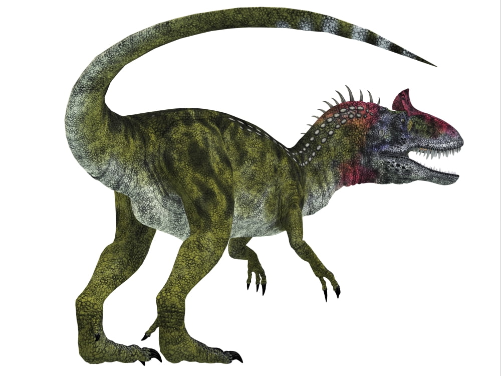 Cryolophosaurus dinosaur white background Canvas Art - Corey FordStocktrek Images (32 x 24)