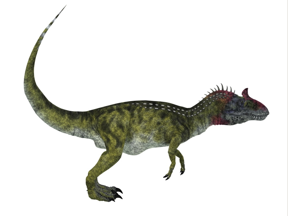 Cryolophosaurus dinosaur white background Canvas Art - Corey FordStocktrek Images (33 x 25)