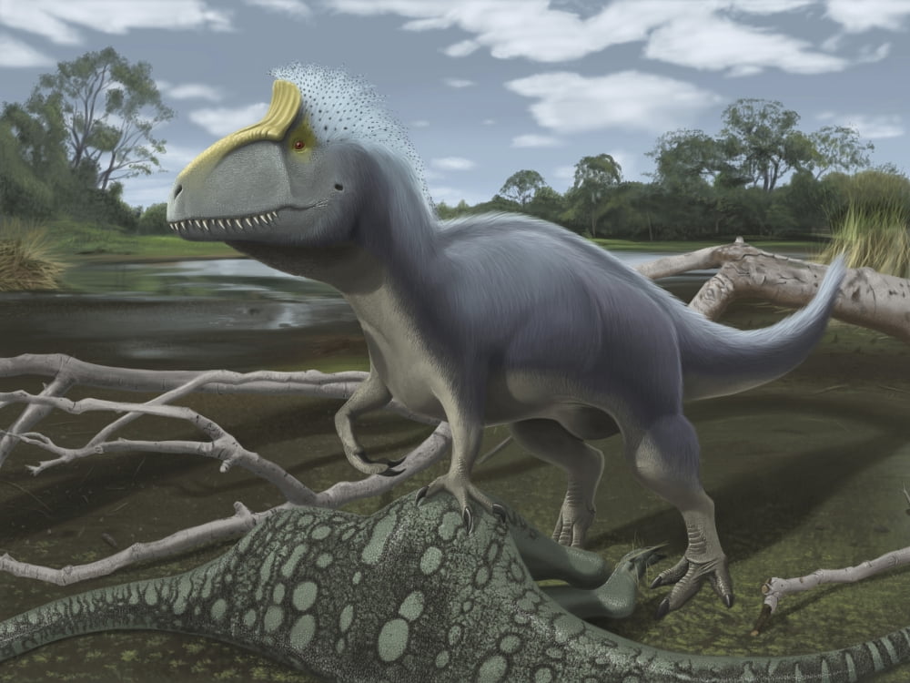 Cryolophosaurus standing over its prey Canvas Art - Michele DessiStocktrek Images (32 x 24)