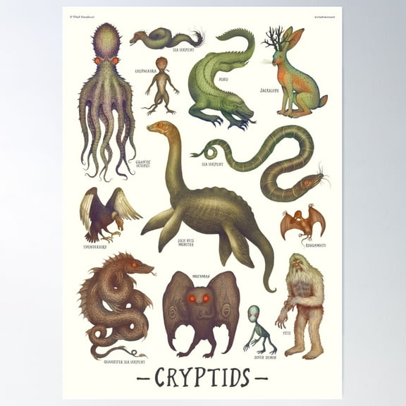 Cryptids, Cryptozoology Species Poster Wall Art, Modern Wall Decor For Living Room Bedroom, 16x24 UNFRAMED