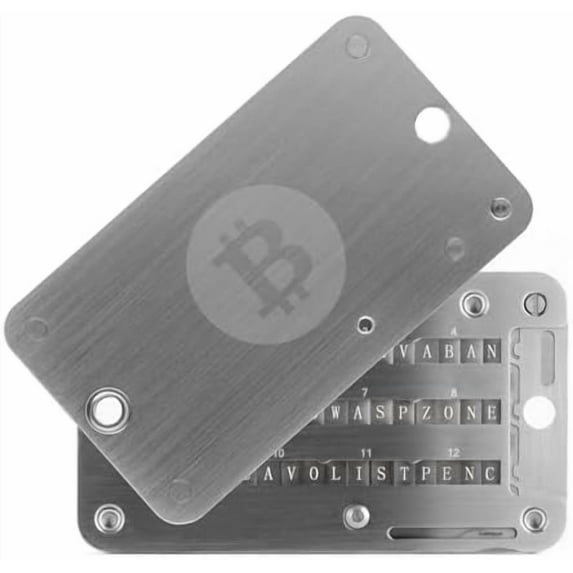 Crypto Seed Phrase Storage, 304 Stainless Steel Secure Bitcoin Wallet, Private Key Recovery Cold Storage Backup 3 Plates 24 Words Compatible with BIP39 Hardware Wallets,Father's Day Gifts