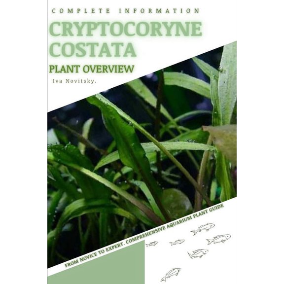 Cryptocoryne Costata: From Novice to Expert. Comprehensive Aquarium Plants Guide (Paperback)