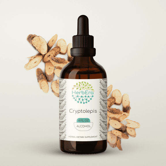 HerbEra Cryptolepis Tincture, Herbal Dietary Supplement for Immune Support, Cryptolepis (Cryptolepis Sanguinolenta) Dried Root Extract, Natural, Alcohol Tincture, Drops 4 oz