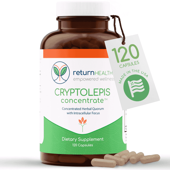 Return Healthy Cryptolepis Sanguinolenta, Immune Supplement Adults, 120 Capsules