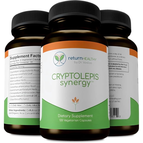 Cryptolepis Synergy, Immune Support Vitamins, Immune System Booster for Adults, Liver, Lymphatic, & Immune Support Supplement, Supports Lyme & Natural Parasite Defense, 120 Capsules, 3 Pack