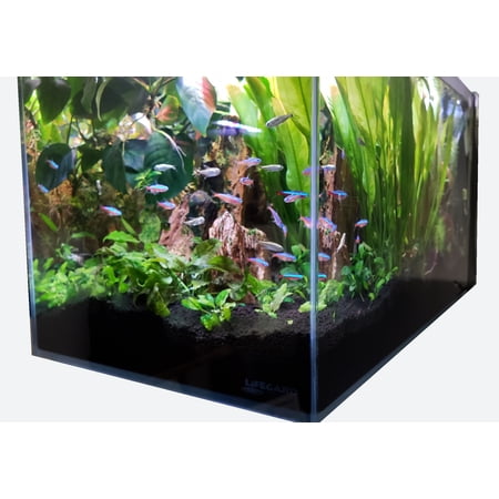 Crystal Aquarium by Lifegard Aquatics Low Iron Ultra Clear Glass 7.4 Gallons with Built in Side Filter