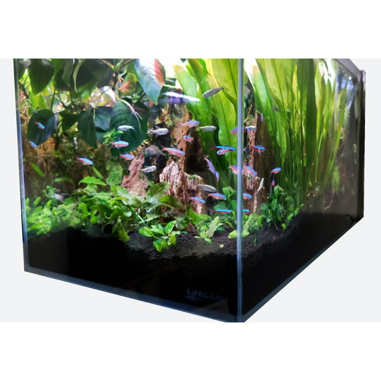 Bulwell pets sale & aquatics