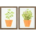thumbnail interactive-video image 1 of Crystal Art Gallery Contemporary Potted Plants Set of 2 Framed Glass Prints, Greens, 1 of 7