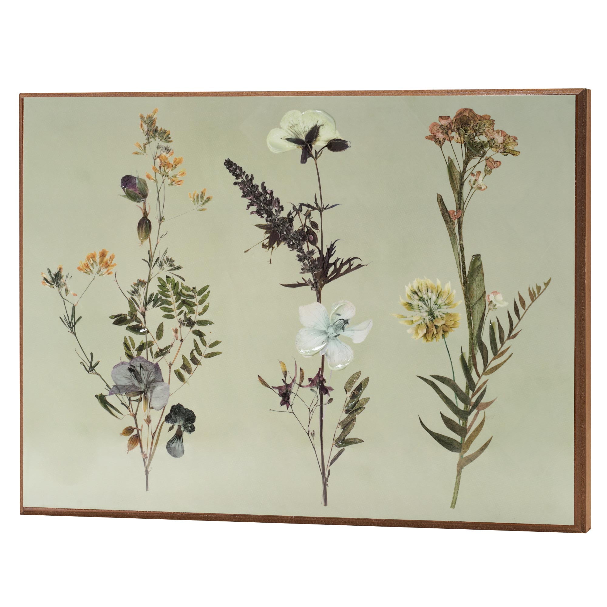 Crystal Art Gallery - Dried Flowers in Green Base Wooden Wall Art Farmhouse Decor - 12" x 16"