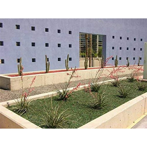 (Crystal) Blue Landscape Glass Glass - Landscaping Glass - 50 lbs, Large