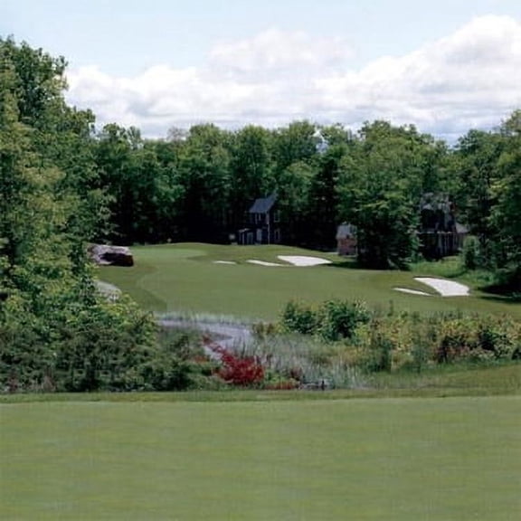 Outsidepride 1 lb. Crystal Bluelinks Creeping Bent Grass Putting & Golf Green Seed