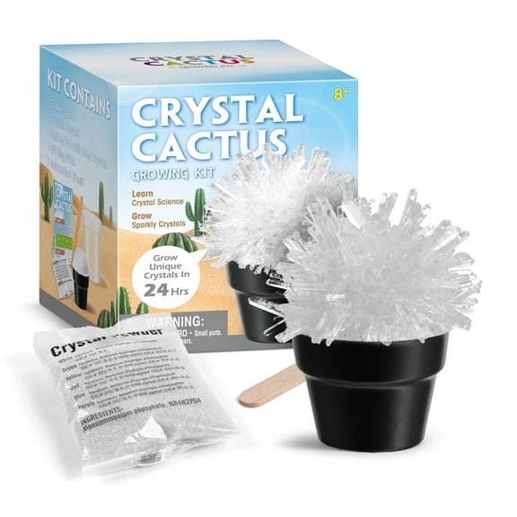 Piano Potato Crystal Growing Kits For Kids 8-12,Grow Your Own Crystals, Cactus Crystal Making set,STEM DIY Clearance Science Kit,White