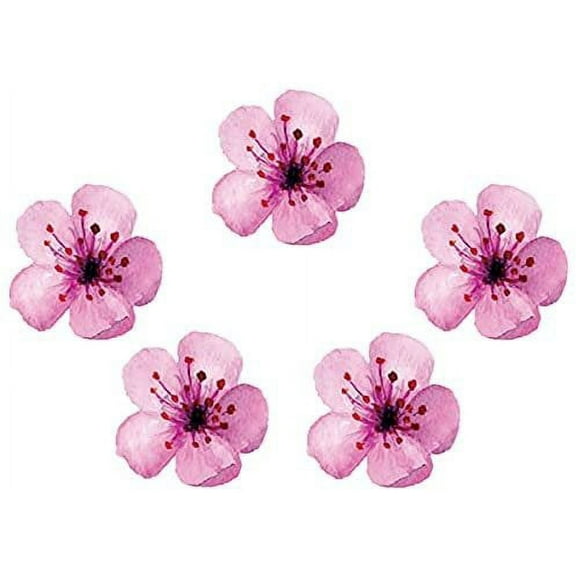 Crystal Candy Make-a-Cherry-Blossom Wafer-Paper Flowers, Pink