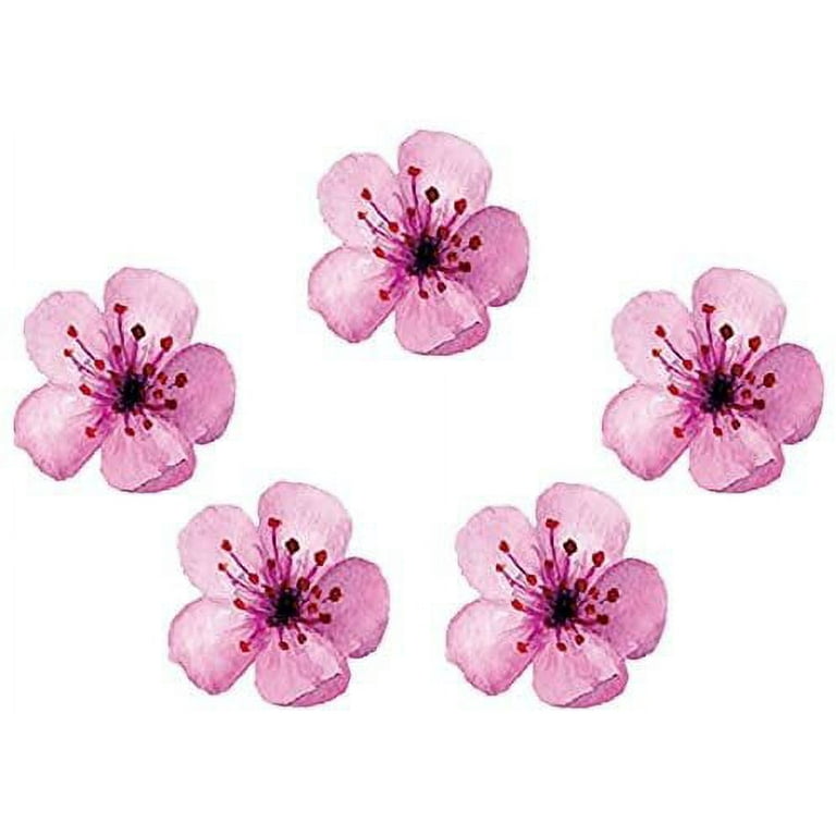 Kwan Crafts Chrysanthemum Peony Flower Cherry India