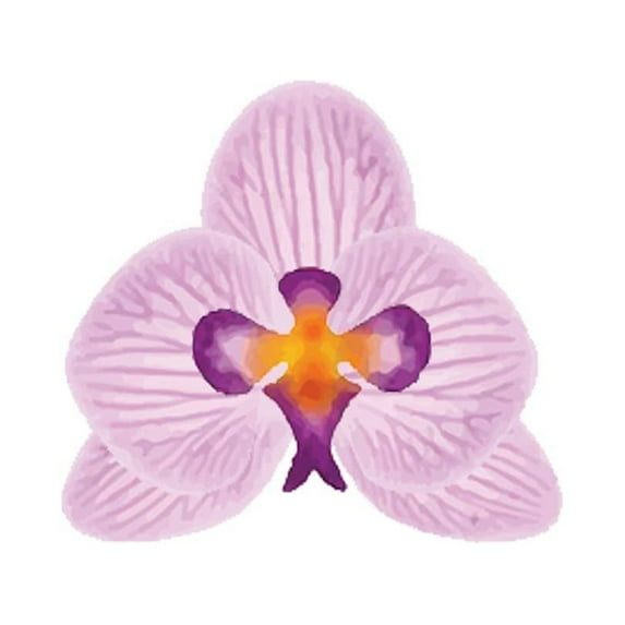 Crystal Candy Make-an-Orchid Wafer-Paper Flowers, Light Pink