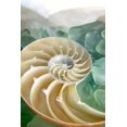 thumbnail image 1 of Crystal Cove - 27 Poster Print by Alan Blaustein (12 x 18), 1 of 2