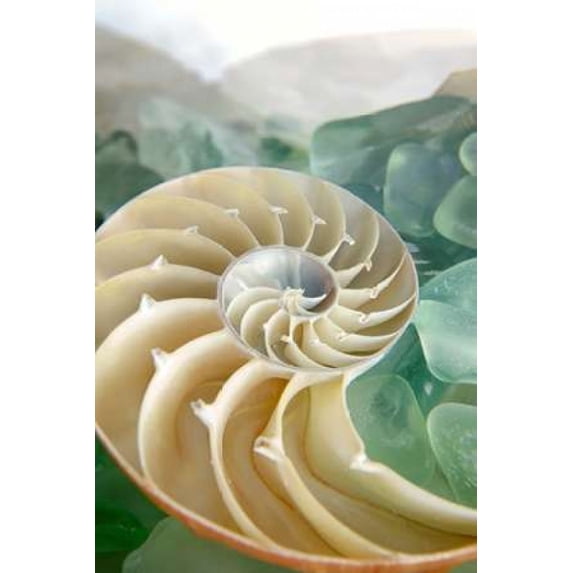 Crystal Cove - 27 Poster Print by Alan Blaustein (12 x 18)