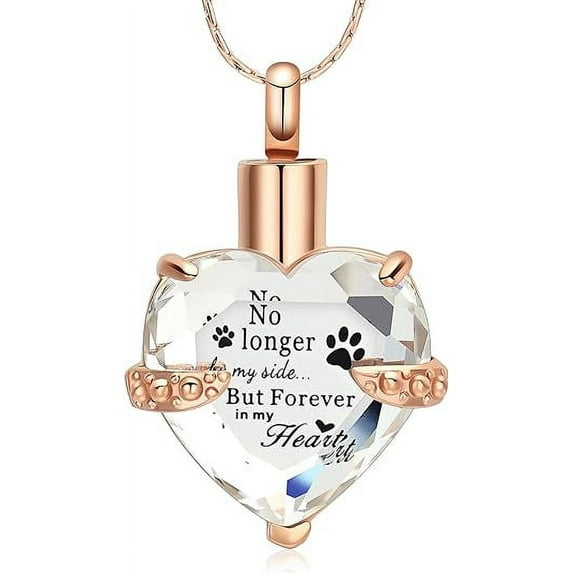 Crystal Cremation Jewelry for Ashes - My Best Friend - Heart Shape Memorial Urn Necklace Stainless Steel Birthstone Urn Pendant Ashes Holder Keepsake