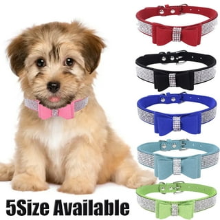Rhinestone Dog Collar with Leash, Dazzling Sparkling Dog Collar Bling  Crystal Diamond Dog Cat Collar Adjustable Leather Suede Puppy Dog Collars  for Small Medium - China Dog Collar and Pet Collar price