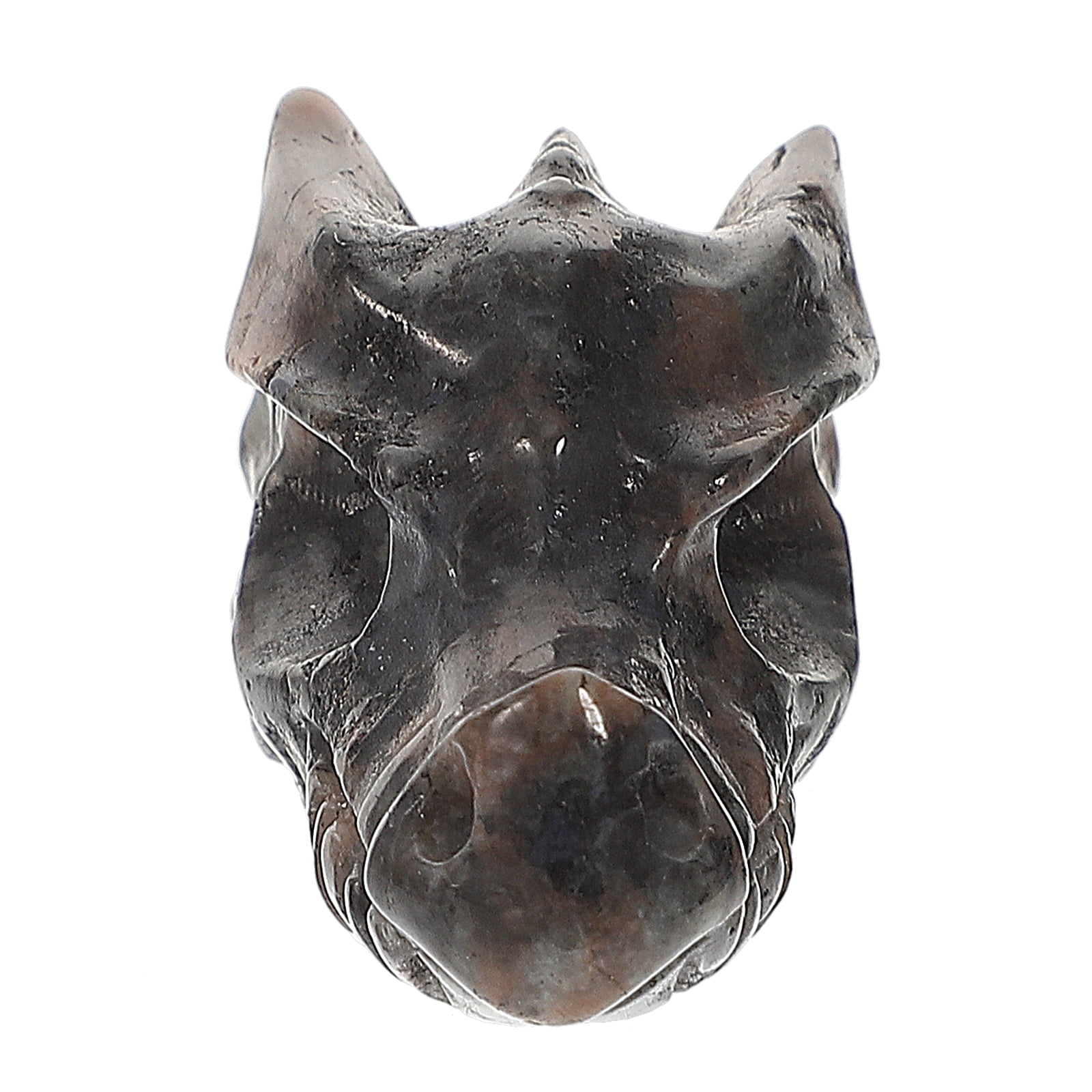 Silver Cranial Drakos Engraved Dragon Skull Ornament 19.5cm