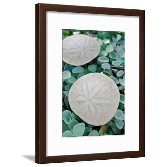 Crystal Harbor #22, Botanical Framed Art Print Wall Art by Alan Blaustein Sold by Art.Com