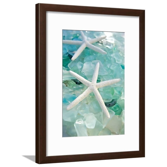 Crystal Harbor 7, Animals Framed Art Print Wall Art by Alan Blaustein Sold by Art.Com