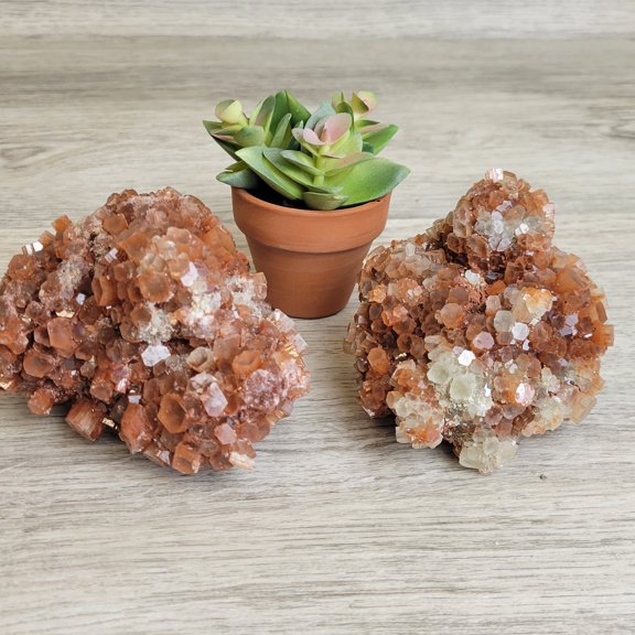 Crystal Joys Aragonite Star Clusters  Large Natural Specimen from Morocco