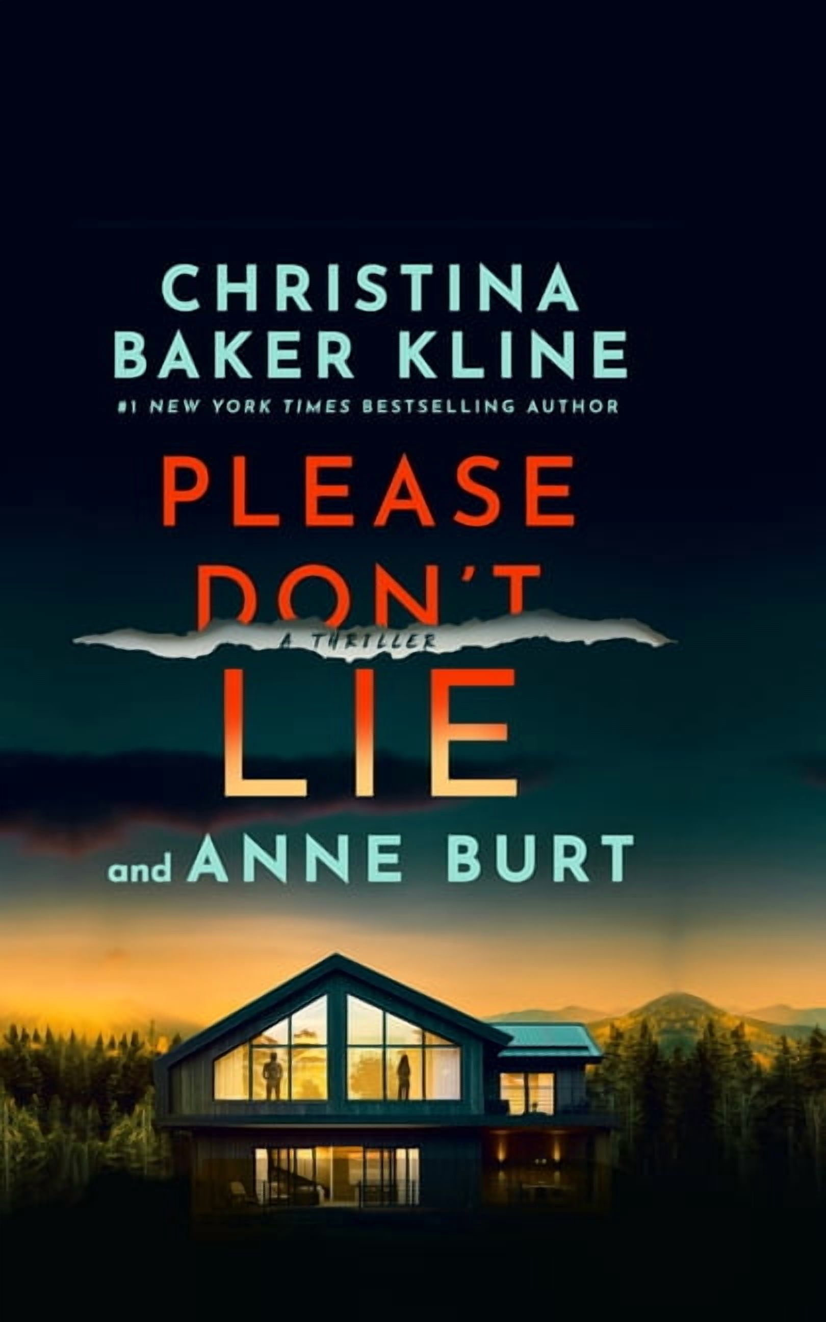 Crystal River Please Don't Lie A Thriller, Book 1, (Hardcover