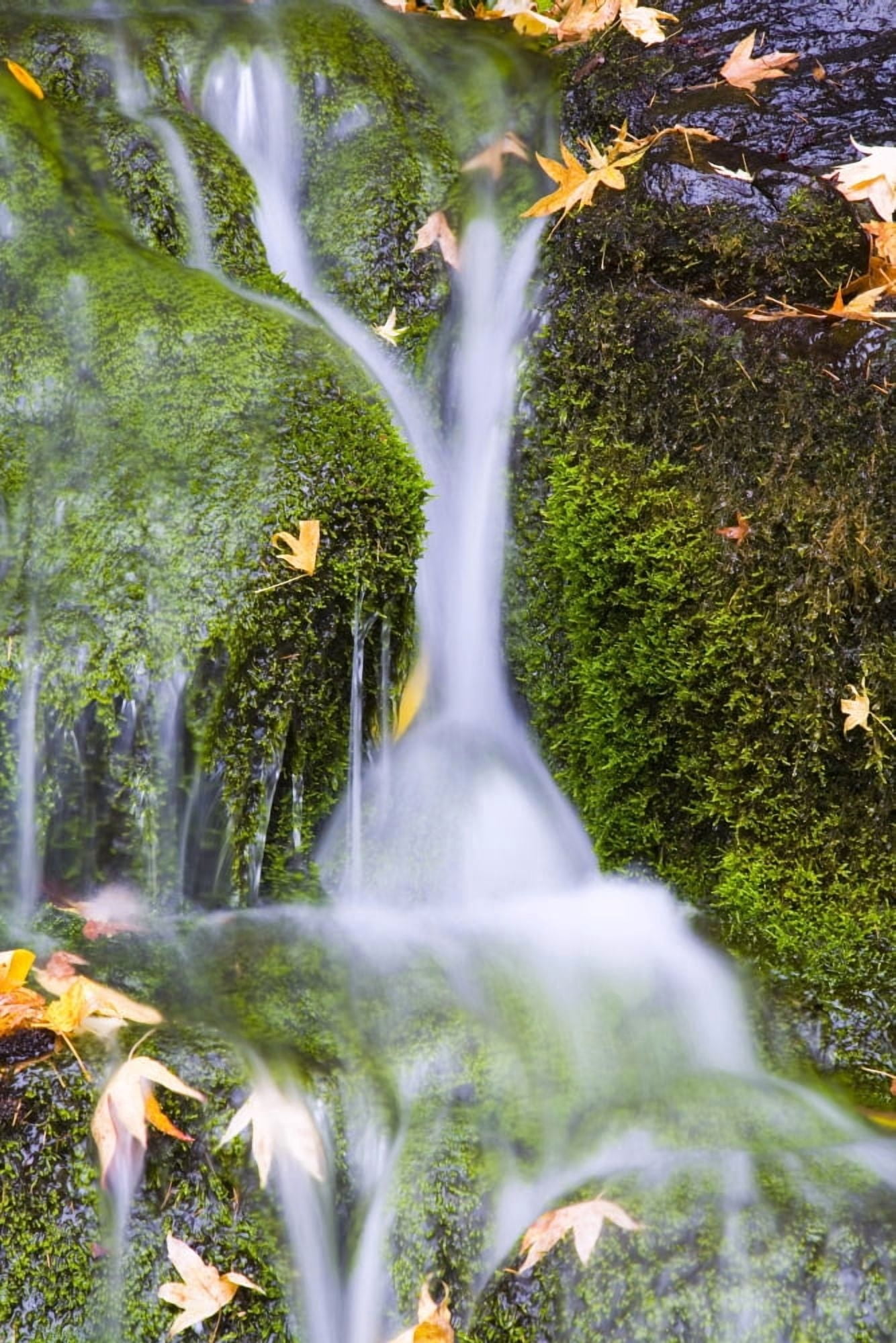Crystal Springs Waterfall At Oregon United States Of America Canvas Art - Craig Tuttle Design Pics (11 x 17)