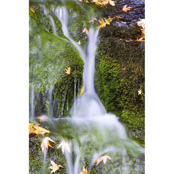 Crystal Springs Waterfall At Oregon United States of America Poster Print by Craig Tuttle, 22 x 34 - Large