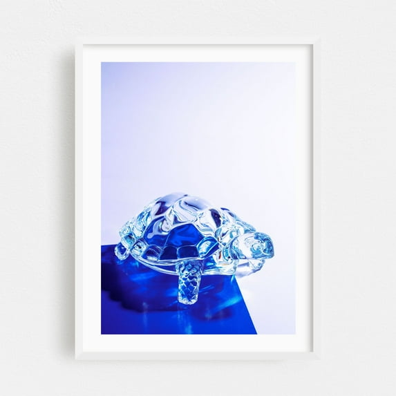 Crystal Turtle on Blue - Photography White Framed Wall Art Print 12 x 18 inches