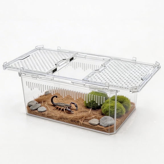 Crystal View Magnetic Lock Terrarium Tank, Escape-Resistant Habitat with Advanced Ventilation for tarantula enclosure, leopard tank, frog terrarium, lizard cage, hermit crab kit & spider 7.5 Inch