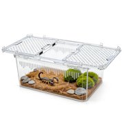 Crystal View Magnetic Lock Terrarium Tank, Escape-Resistant Habitat with Advanced Ventilation for tarantula enclosure, leopard tank, frog terrarium, lizard cage, hermit crab kit & spider 7.5 Inch