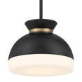 thumbnail image 1 of Crystorama Lighting Group GID-4005-MK-VG Gidget 10" Wide Pendant - Matte Black / Vibrant, 1 of 7