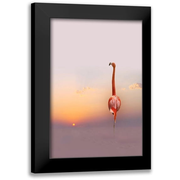 Cseresnjes, Anna 13x18 Black Modern Framed Museum Art Print Titled - Sunset ...